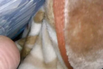 لقد اخترقت كس سيدتي فيديو سكسي قديم بالموز قبل الجماع.