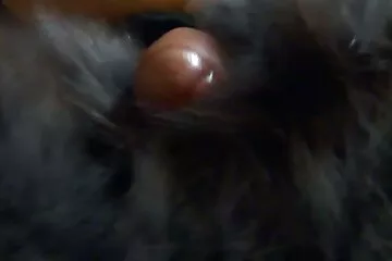 أثارت امرأة سمراء قضيب الرجل باللسان ، ثم جلست فوقه سكسي عراقي قديم