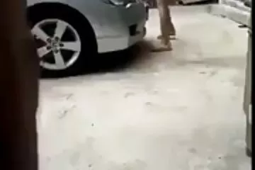 هواة الجنس الفيديو محلية الصنع مع شقراء رقيقة في أول سكسي قديم مترجم شخص.