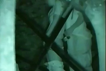 امرأة فيلم قديم سكسي سمراء صغيرة نحيلة ذات ثديين صغيرين ، حيث تأكل ، تمارس الجنس هناك